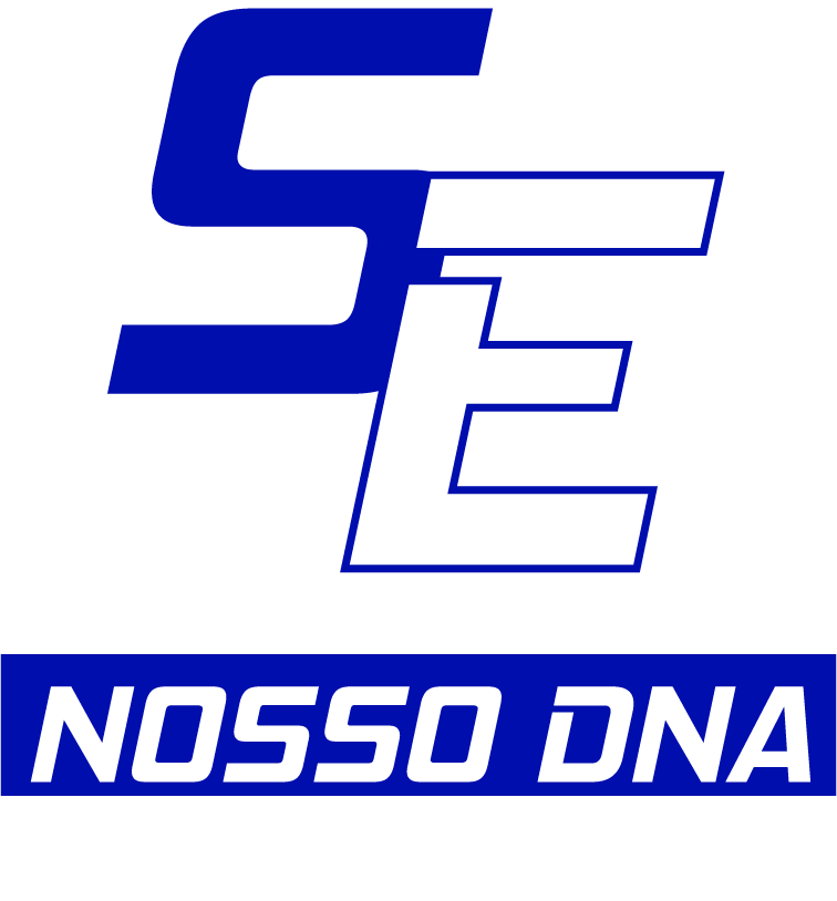Logo SE
